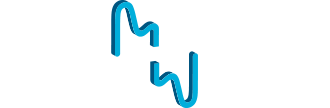 SSIM Wave Logo